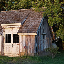 chicken shed