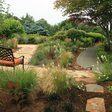 Back Landscaping