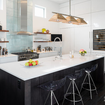 St. Petersburg, Florida | Transitional Lines & Lives | Design Works LLC