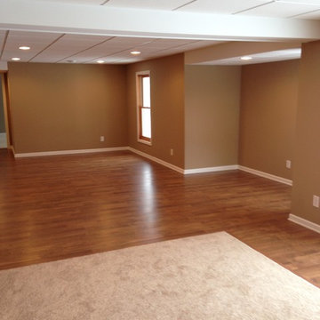 Geneva Basement Remodel