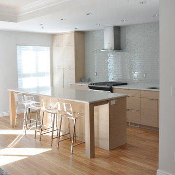 Modern Minimalist Kitchen