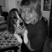 Stephanie Bertram's photo