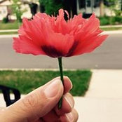 Jennifer Vouk's photo