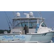 Tom Fiorentino's photo