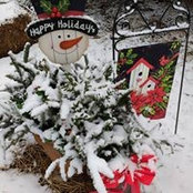 Cheri Lincoln's photo