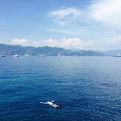 Mavis Kelsey's photo
