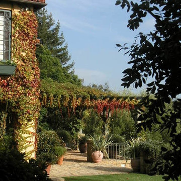 Mediterranean Country House