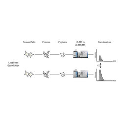 Label free quantitative proteomics - Products
