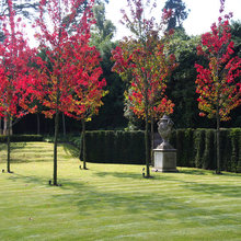 jardines