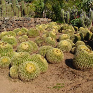 giardino Pantelleria