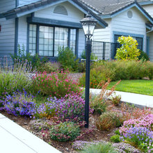 Sullivan Front Yard