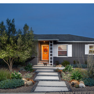 Modern Cottage