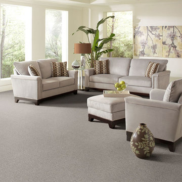 Dabbieri Collection