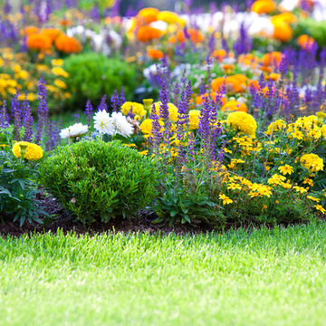 Watkinsville Georgia Seasonal Landscape Design