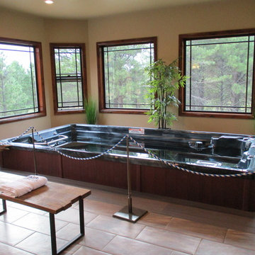 Endless Pools Swim Spa