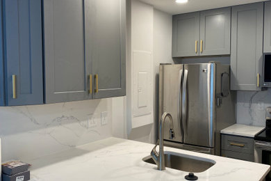Kitchen photo in DC Metro