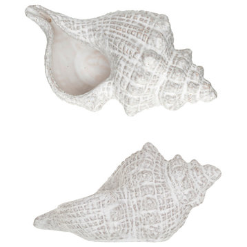 Stoneware Conch Shell Accent Decor, White