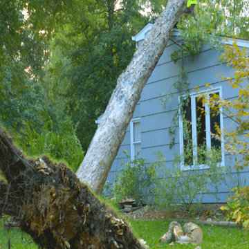 Tree Removal Virginia Beach