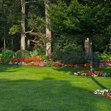 Landscape Ideas