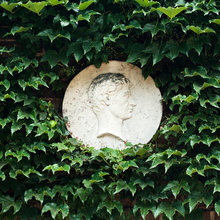 landscaping ideas