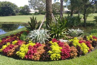 Photo of a tropical landscaping in Other.