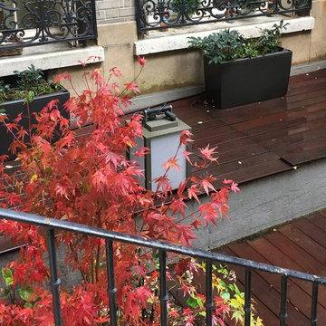 Un jardin Parisien