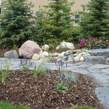 Nature in the City