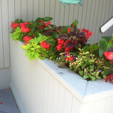 Container Gardens