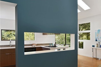 Seattle Contemporary Kitchen and Repaint