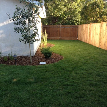 Woods backyard