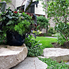 Backyard Landscaping