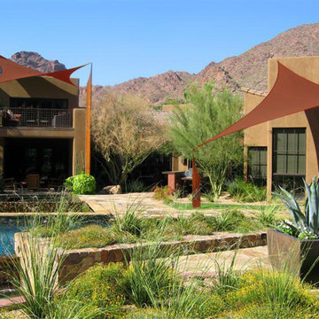 palamino residence