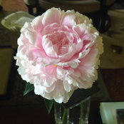 Jennifer Townson's photo