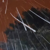 Nancy Huseman's photo