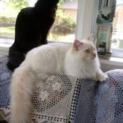 Photo de Marilyn Lee