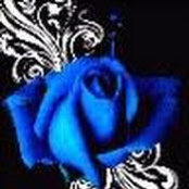 Jen Gano's photo