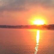 Foto von Pam McAlexander