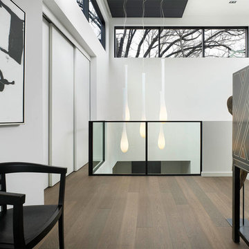 Toronto Contemporary House