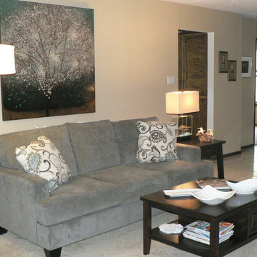 Great Rooms/Living Rooms