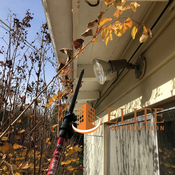 Fungus on Subfloor, Exterior Door Base and Rafter Tail dry rot repair