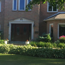 Outdoor plants