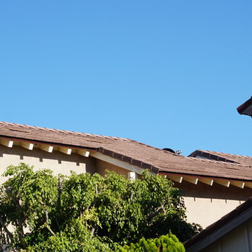 Eagle Ponderosa (Color: Live Oak)