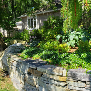 Design around existing trees
