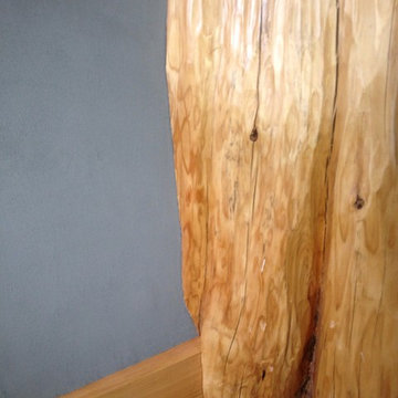 Log cabin Master Bedroom in Bragg Creek done In American Clay Natural Plaster