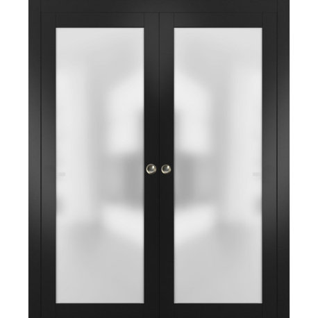Sliding Double Pocket Door Frosted Tempered Glass|Planum 2102 Blacks 56x80