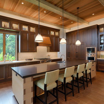 Hillside Remodel kitchen