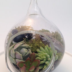 Miniature Terrariums - Terrariums