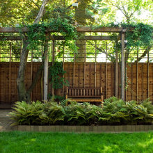 Patio Ideas