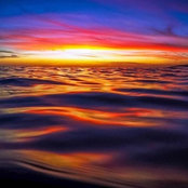 Some Blue Bayou's photo