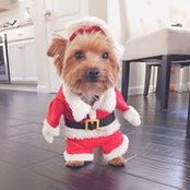 Maggie Chen's photo